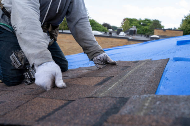 Best Sealant for Roof  in Vardaman, MS