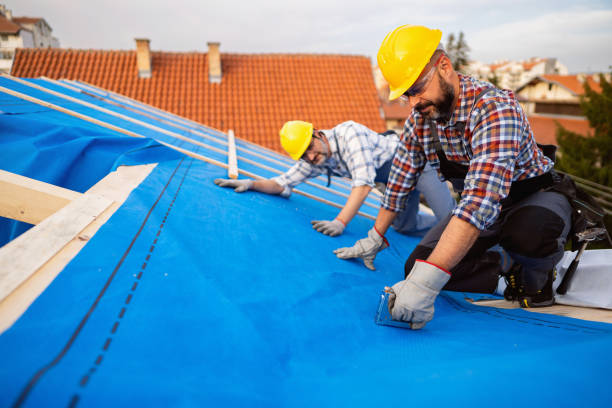 Best Roofing Contractors for Homes  in Vardaman, MS