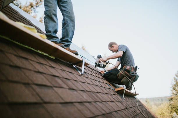 Best Roof Gutter Cleaning  in Vardaman, MS